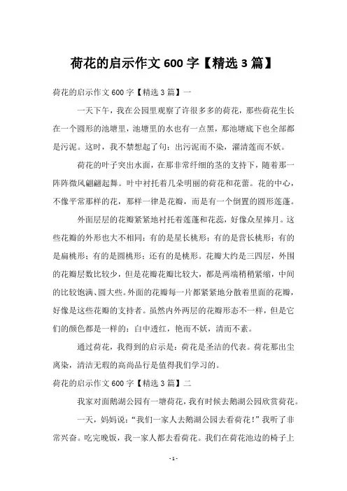 荷花的启示作文600字【3篇】