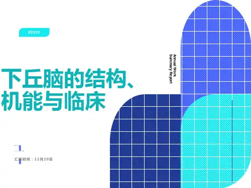 下丘脑的结构、机能与临床