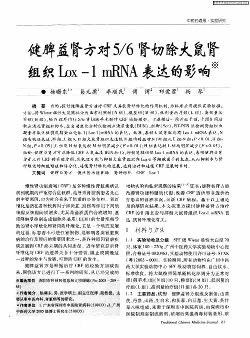 健脾益肾方对5／6肾切除大鼠肾组织Lox-1mRNA表达的影响