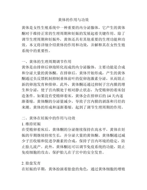 黄体的作用与功效