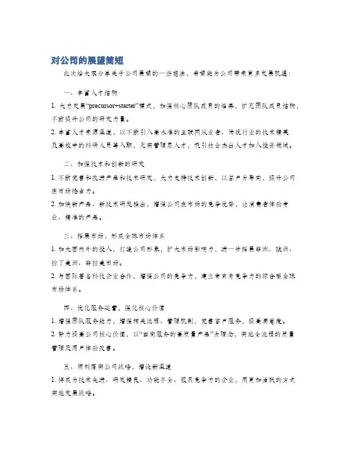 对公司的展望简短