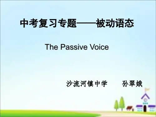 冀教版英语 中考专项复习---被动语态(共21张PPT)