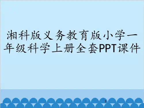 湘科版义务教育版小学一年级科学上册全套PPT课件