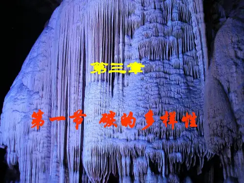鲁科版化学必修一第三章第一节--碳的多样性优秀课件PPT