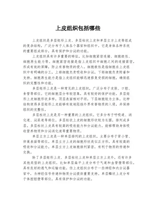 上皮组织包括哪些