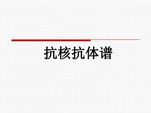 抗核抗体谱