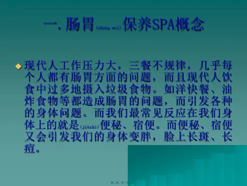 医学专题肠胃保养SPA套656