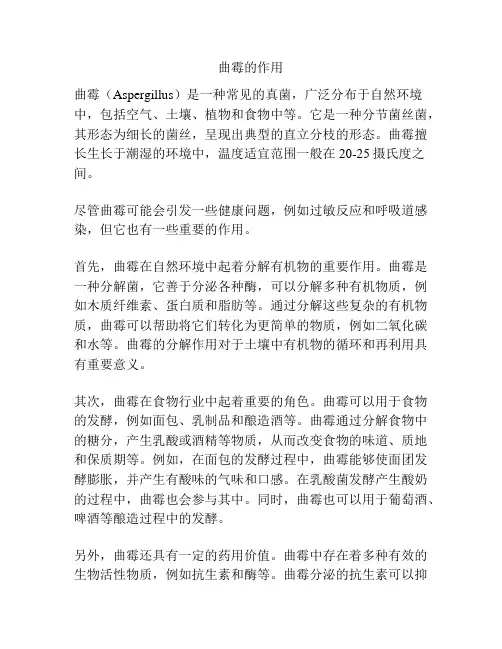 曲霉的作用