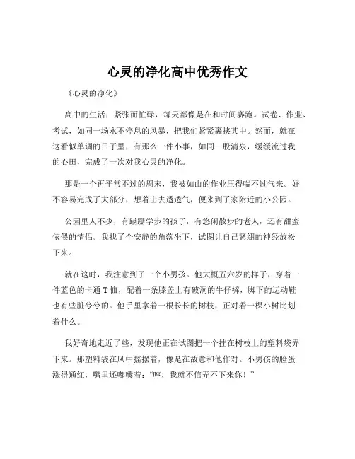 心灵的净化高中优秀作文