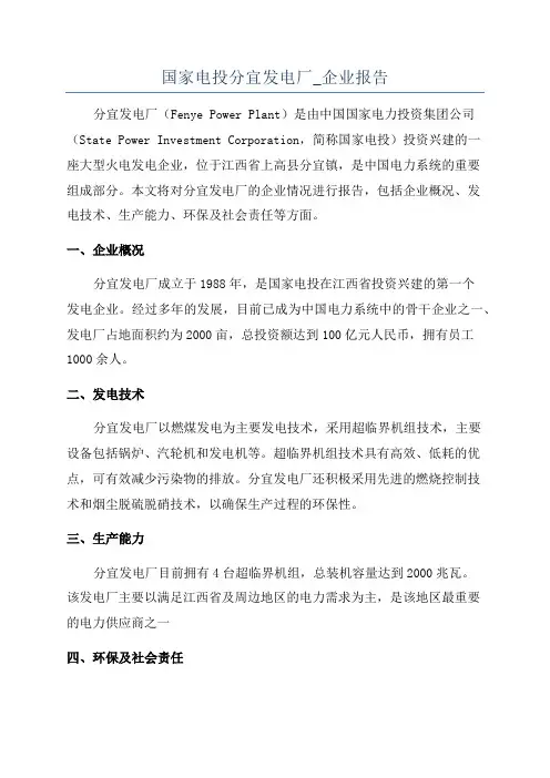 国家电投分宜发电厂_企业报告