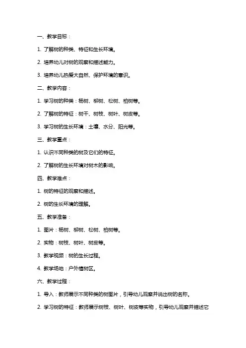 中班教案《玩树》