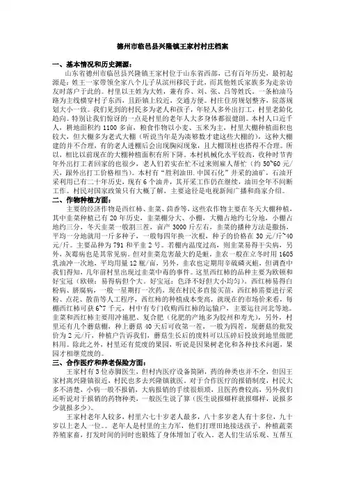 王家村村庄档案