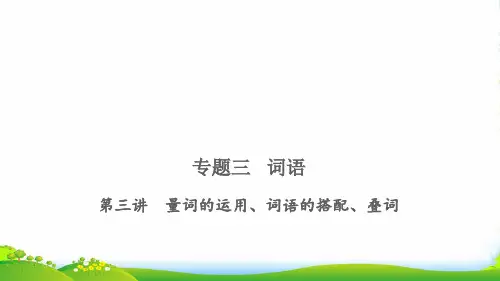 2022小考语文 专题三 词语 第三讲 量词的运用、词语的搭配、叠词习题课件