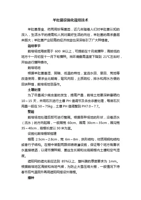 羊肚菌设施化栽培技术