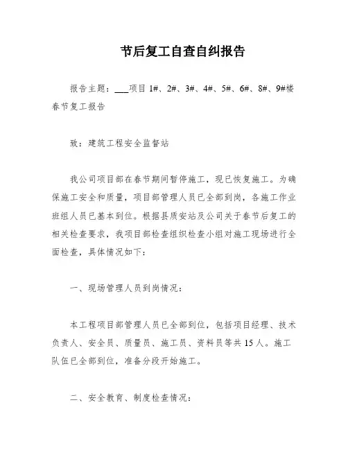 节后复工自查自纠报告