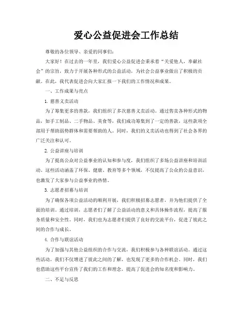 爱心公益促进会工作总结