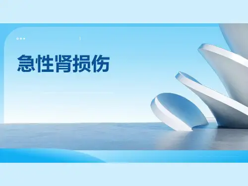 急性肾损伤课件(1)