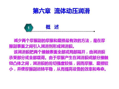 第六章流体动压润滑ppt课件