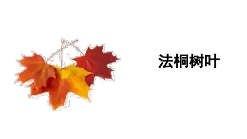 部编版三上《铺满金色巴掌的水泥道》优秀PPT课件