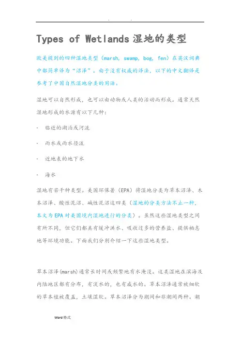 自然湿地类型(图文)