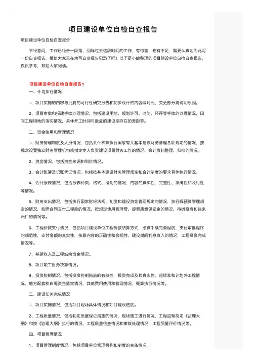 项目建设单位自检自查报告