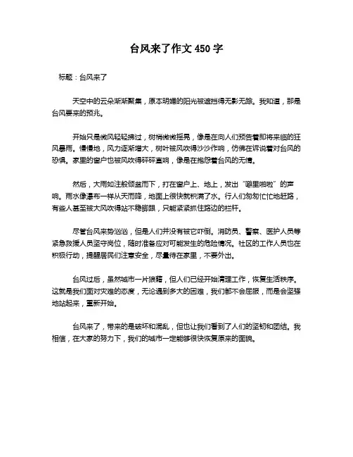 台风来了作文450字
