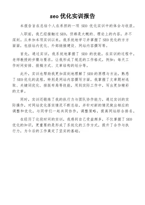 seo优化实训报告