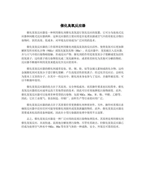 催化臭氧反应器