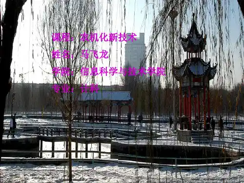 农业论文ppt