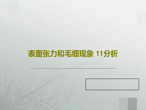 表面张力和毛细现象 11分析共18页文档