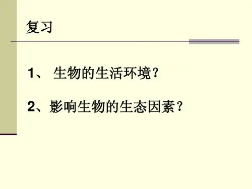 生物与环境组成生态系统徐淑芬(课件2).ppt