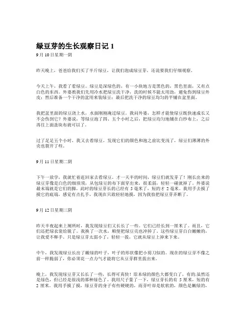 绿豆芽的生长观察日记