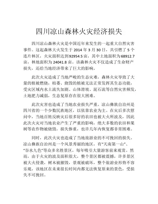 四川凉山森林火灾经济损失