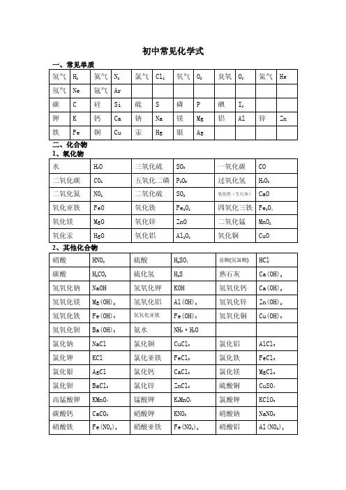 初中常见化学式