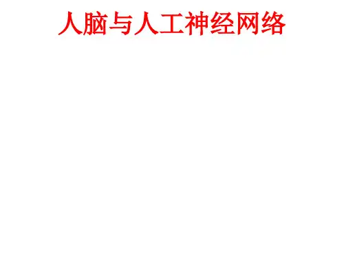 [课件]人脑与人工神经网络PPT
