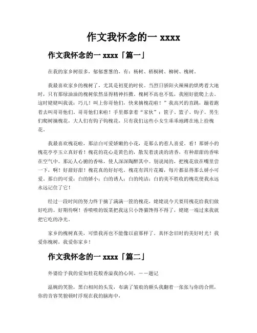 作文我怀念的一xxxx