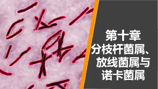 病原生物学与免疫学 第十章