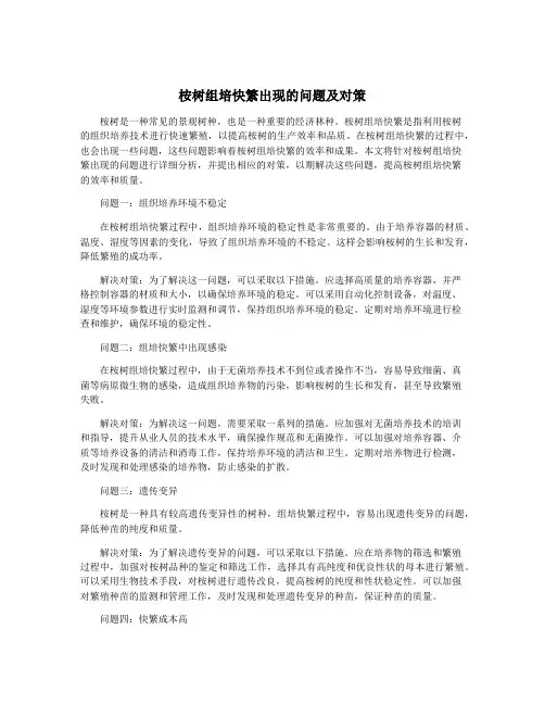 桉树组培快繁出现的问题及对策