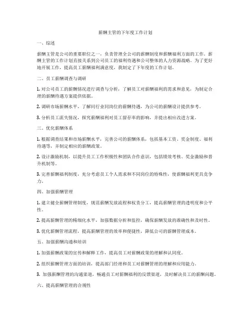 薪酬主管的下年度工作计划