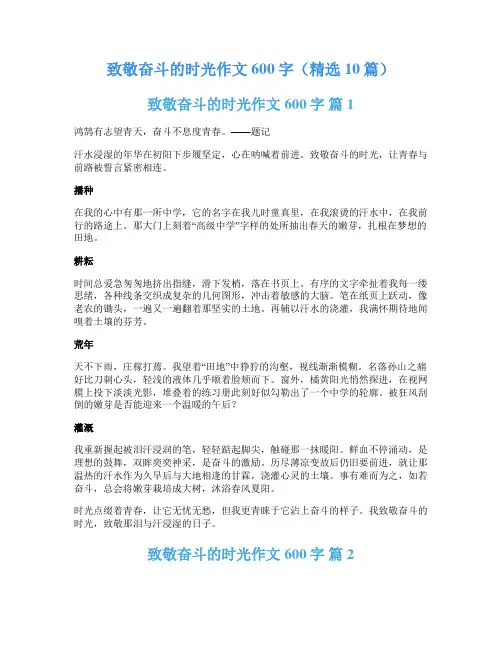 致敬奋斗的时光作文600字(精选10篇)