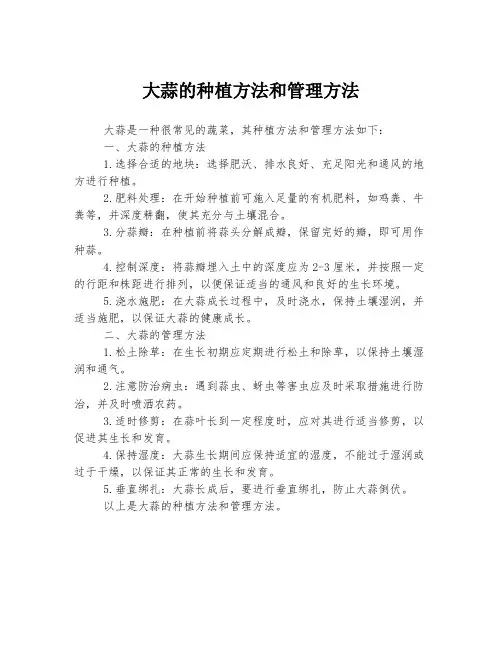 大蒜的种植方法和管理方法