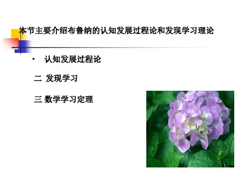 学习理论布鲁纳的认知结构学习理论