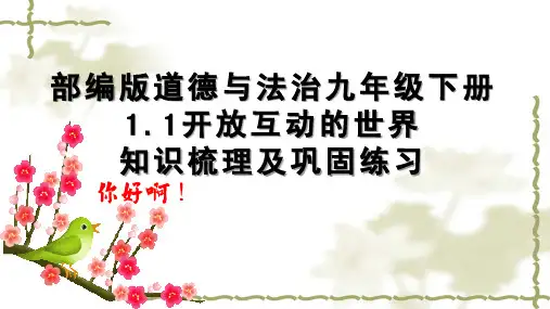 开放互动的世界知识梳理及巩固练习课件