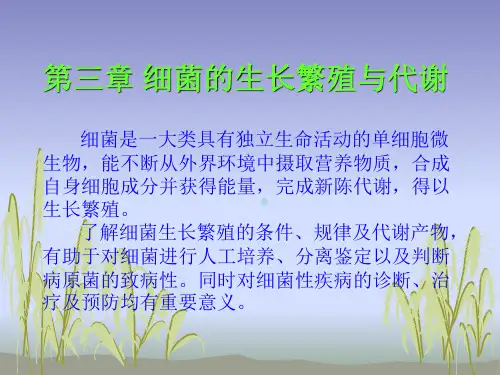细菌的生长繁殖与代谢课件