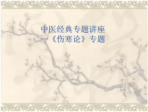 中医经典专题讲座—《伤寒论》-