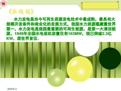 水电站培训资料(PPT52页)