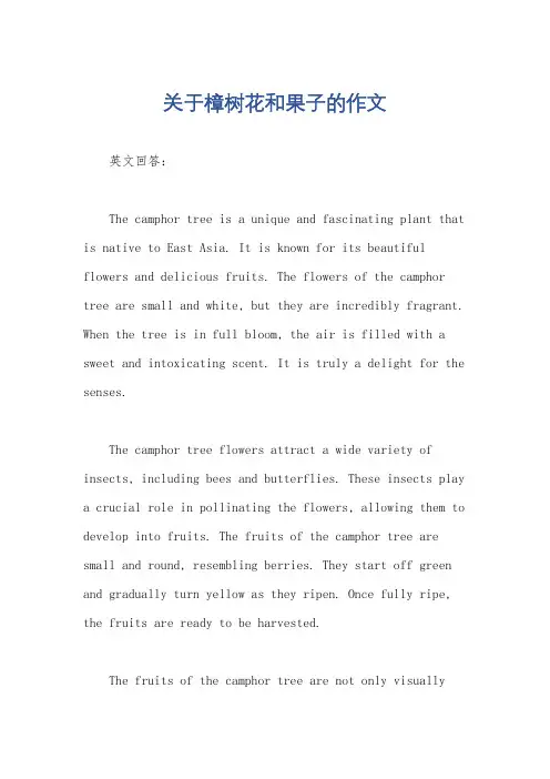 关于樟树花和果子的作文