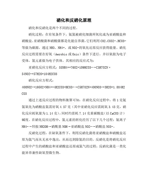 硝化和反硝化原理