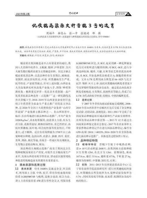 优质糯高粱杂交种晋糯3号的选育