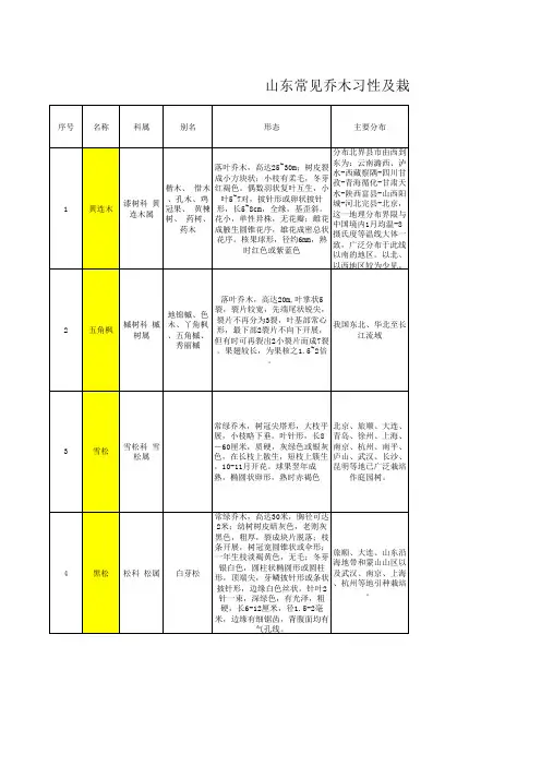 山东常用乔木习性及栽植方法